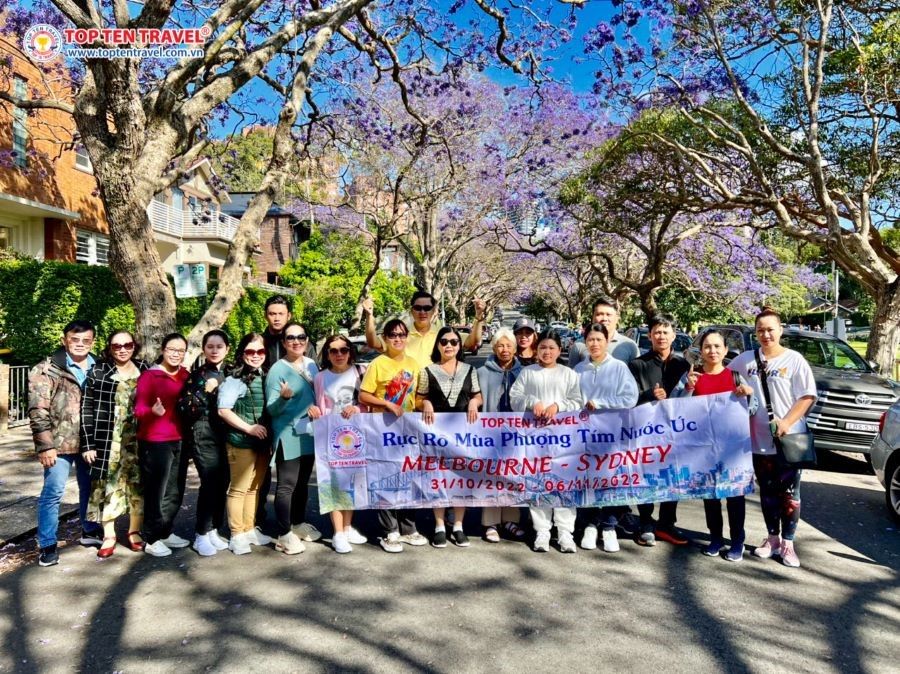 Mùa xuân là thời điểm hoa phượng tím nở rộ đẹp nhất